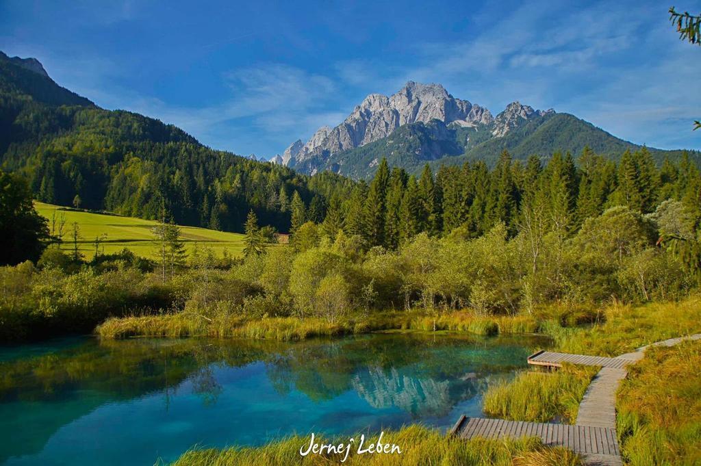 Апартаменты Alpine Spot Краньска Гора Экстерьер фото