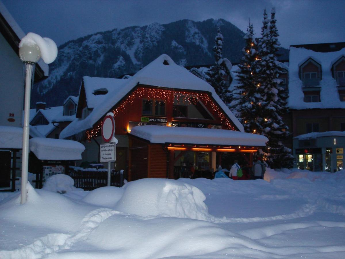 Апартаменты Alpine Spot Краньска Гора Номер фото